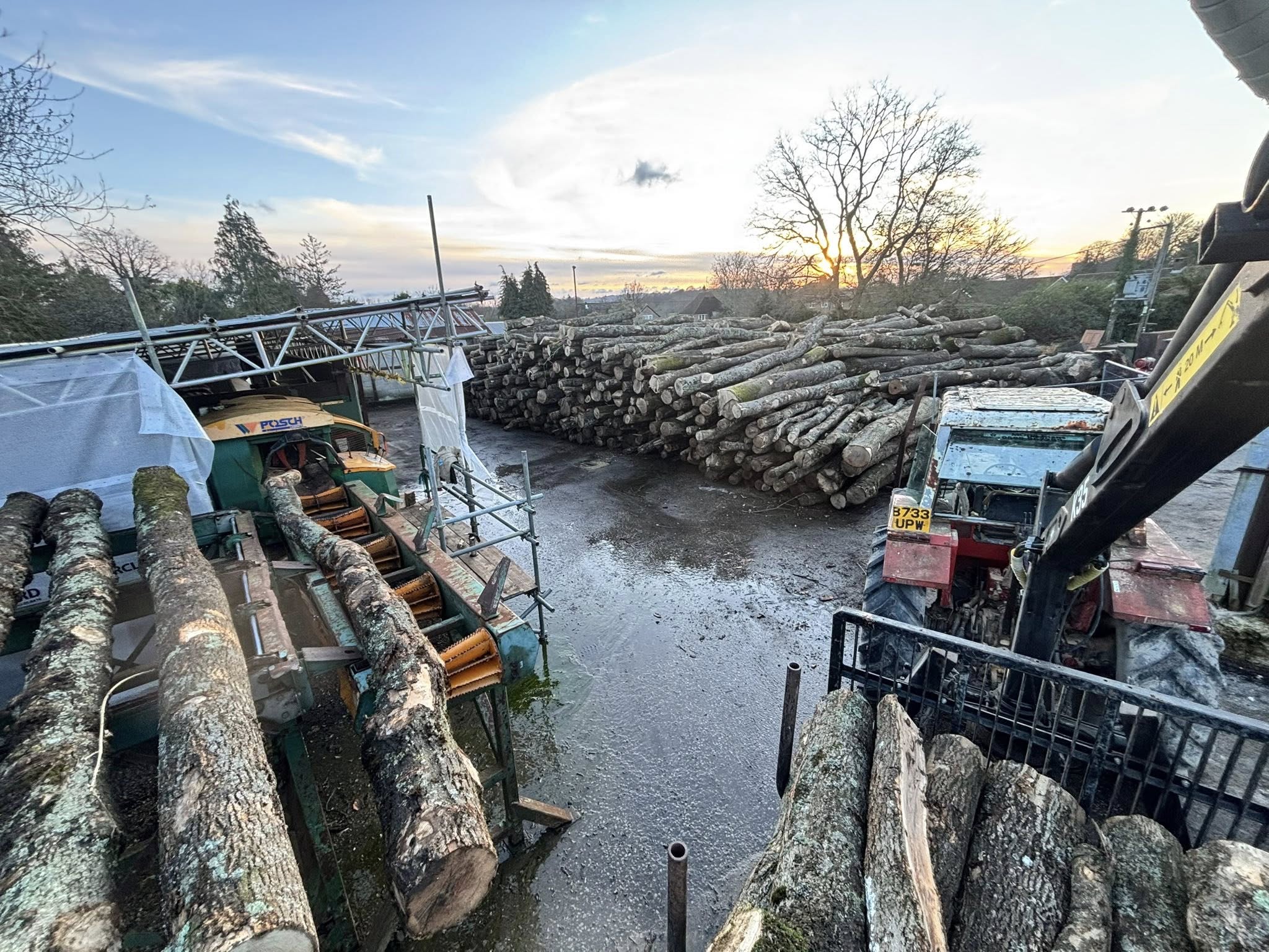 The T & H Logs yard at sunset, stacked with seasoned timber